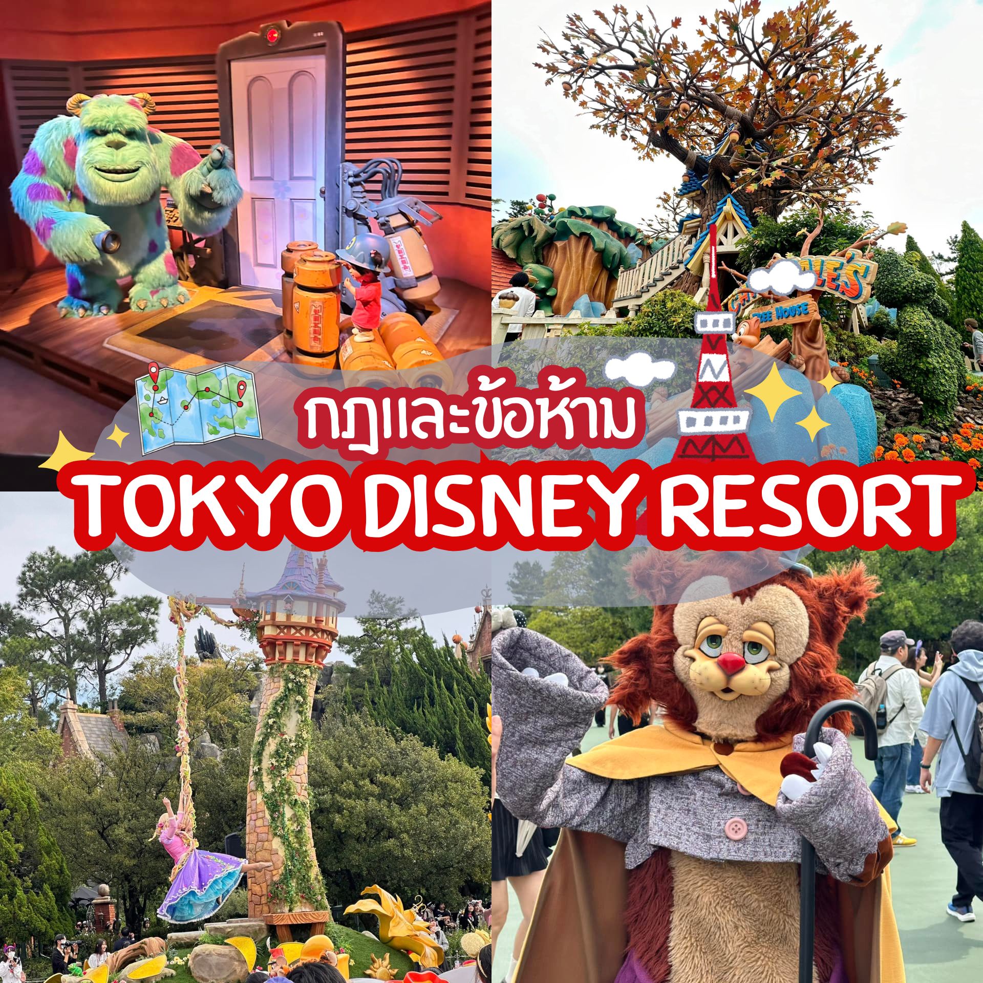 กฎและข้อห้าม Tokyo Disney Resort โตเกียวดิสนีย์แลนด์ - ดิสนีย์ซี